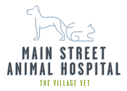 Main Street Animal Hospital