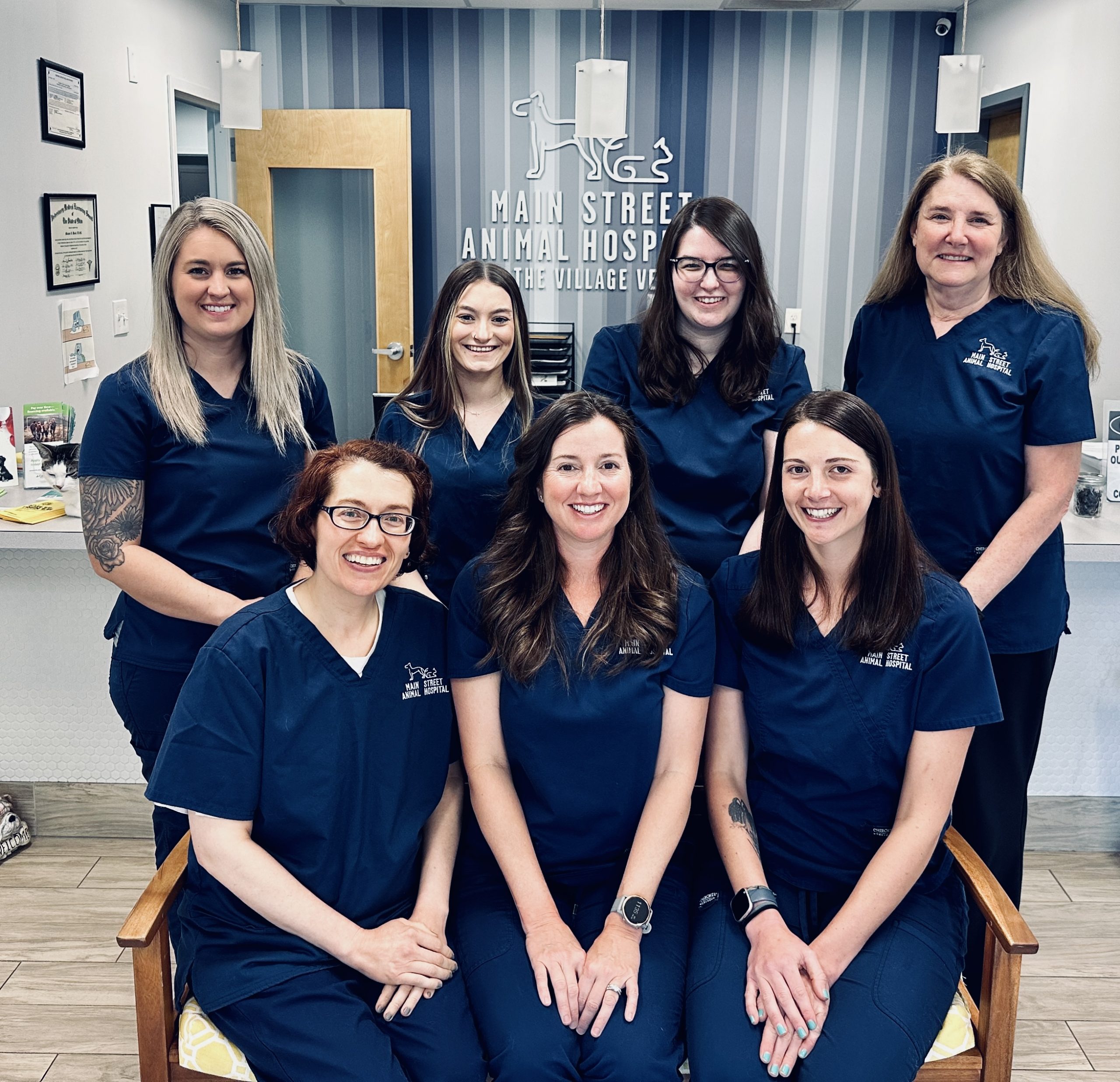 Veterinarian in Amelia, OH